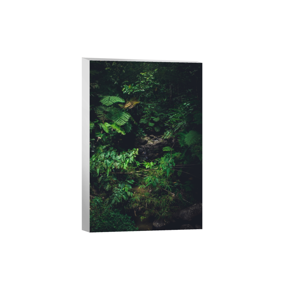 canvas_rectangle2_3_0_0_4000_6000_0_false_ffffff_0_0.png
