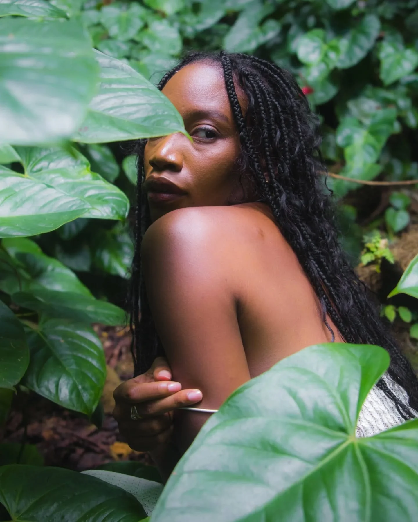 forest dreams 🌿😪

#earth_portraits #wi̇ldernessculture #dominica  #earthfocus