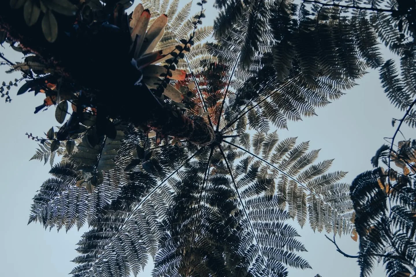 The land outside of time 🌿🌀