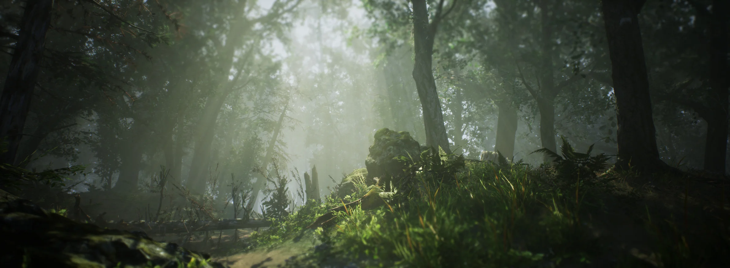 Forest - Unreal Engine & Quixel Megascans