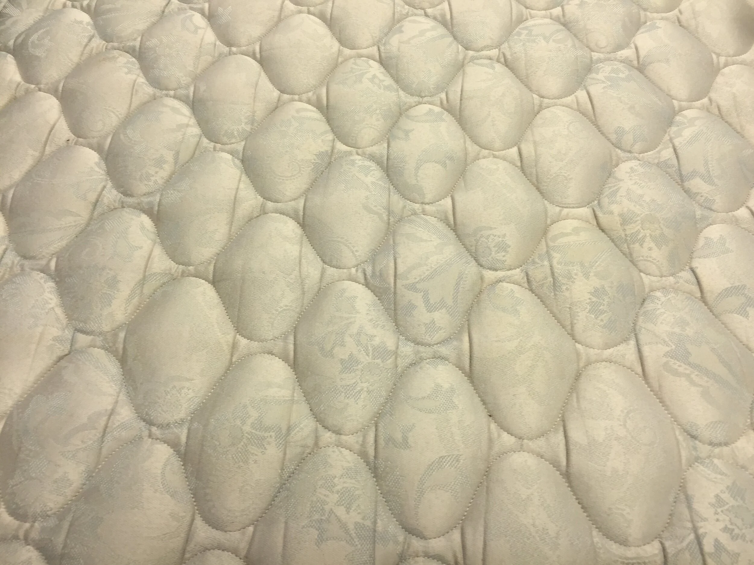 F6FE3516-8FB8-440A-99DF-4DFE2EB997E9