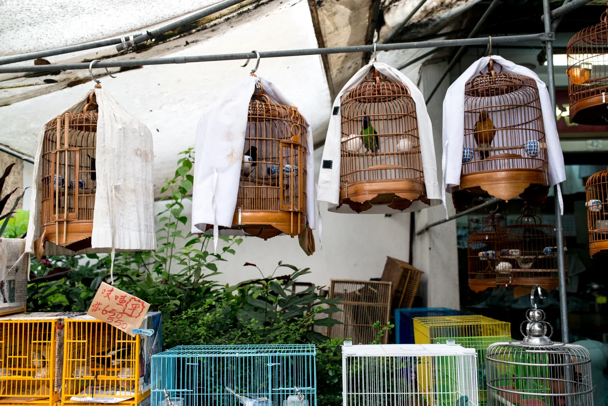 Birds and cages for sale in the Yuen Po Garden