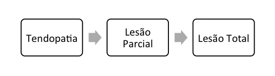 Progressão da doença ou síndrome do manguito rotador