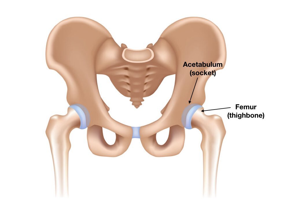 Blog — Dr. Leonardo Cavinatto - Médico Ortopedista / Especialista em