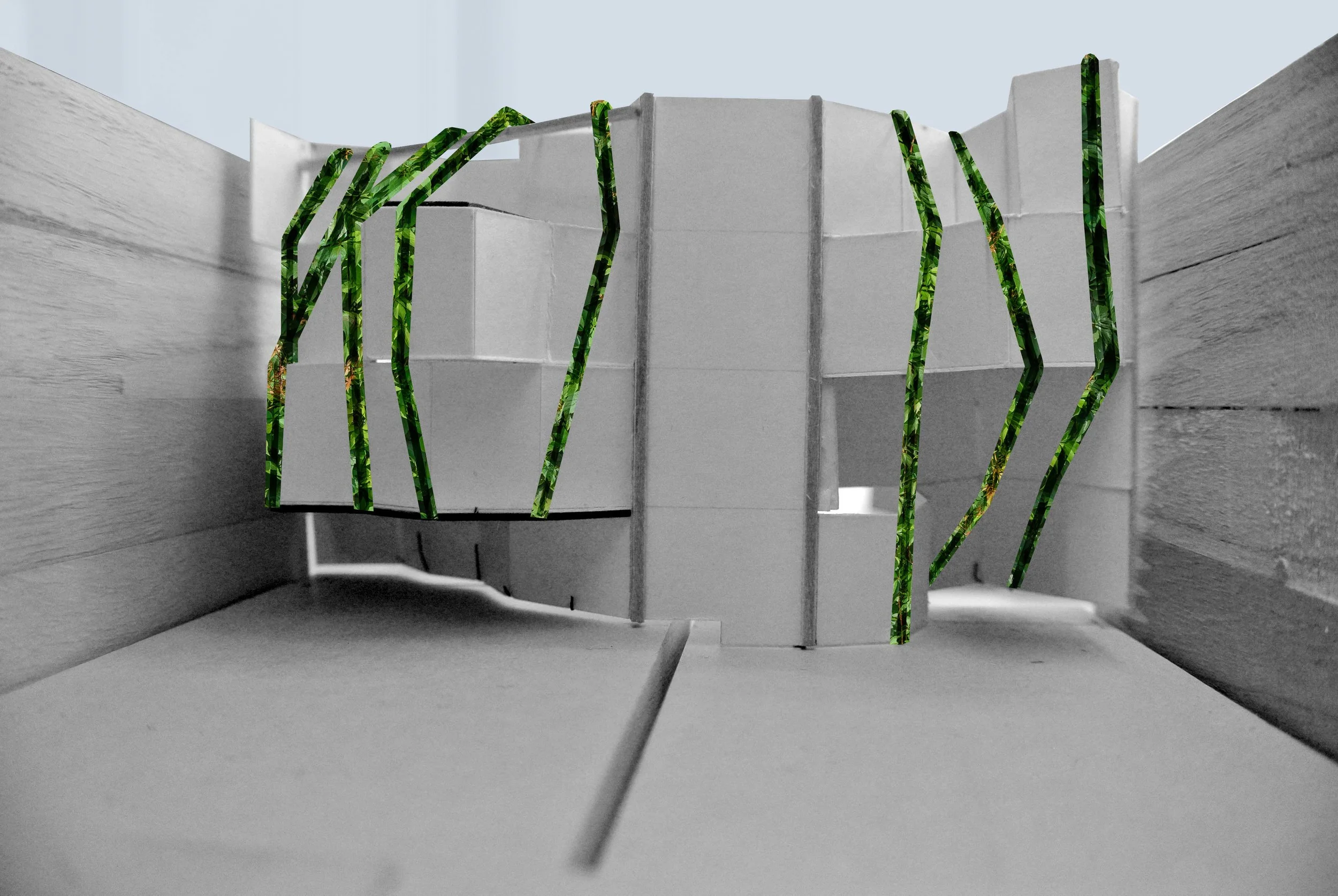 10d C,Crego-Final.JPG