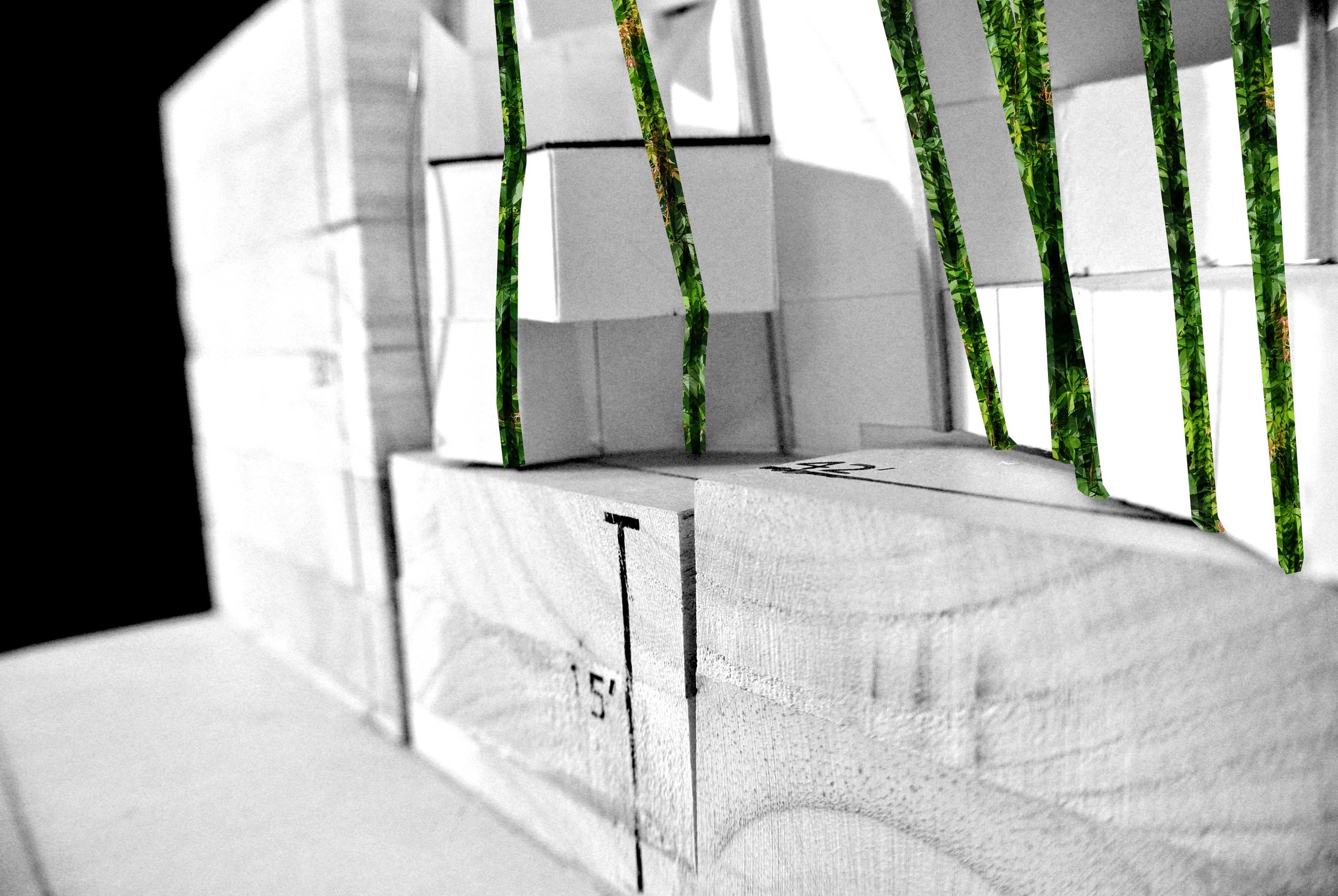 10e C,Crego-Final.JPG