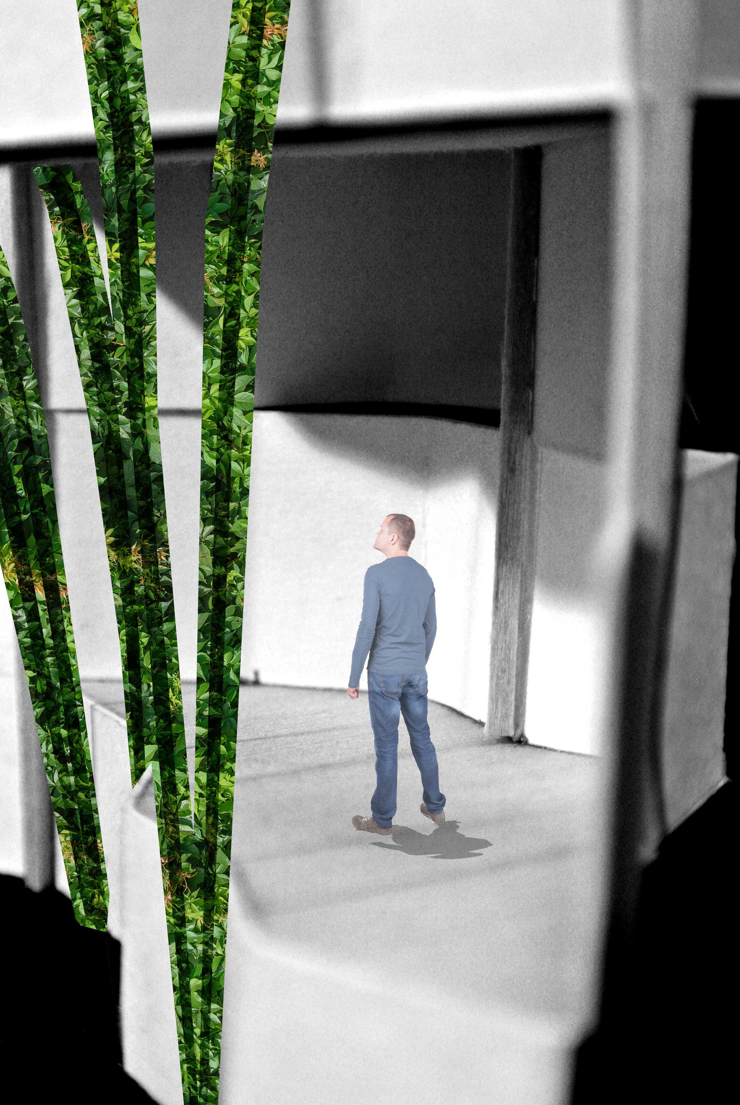 10f C,Crego-Final.JPG