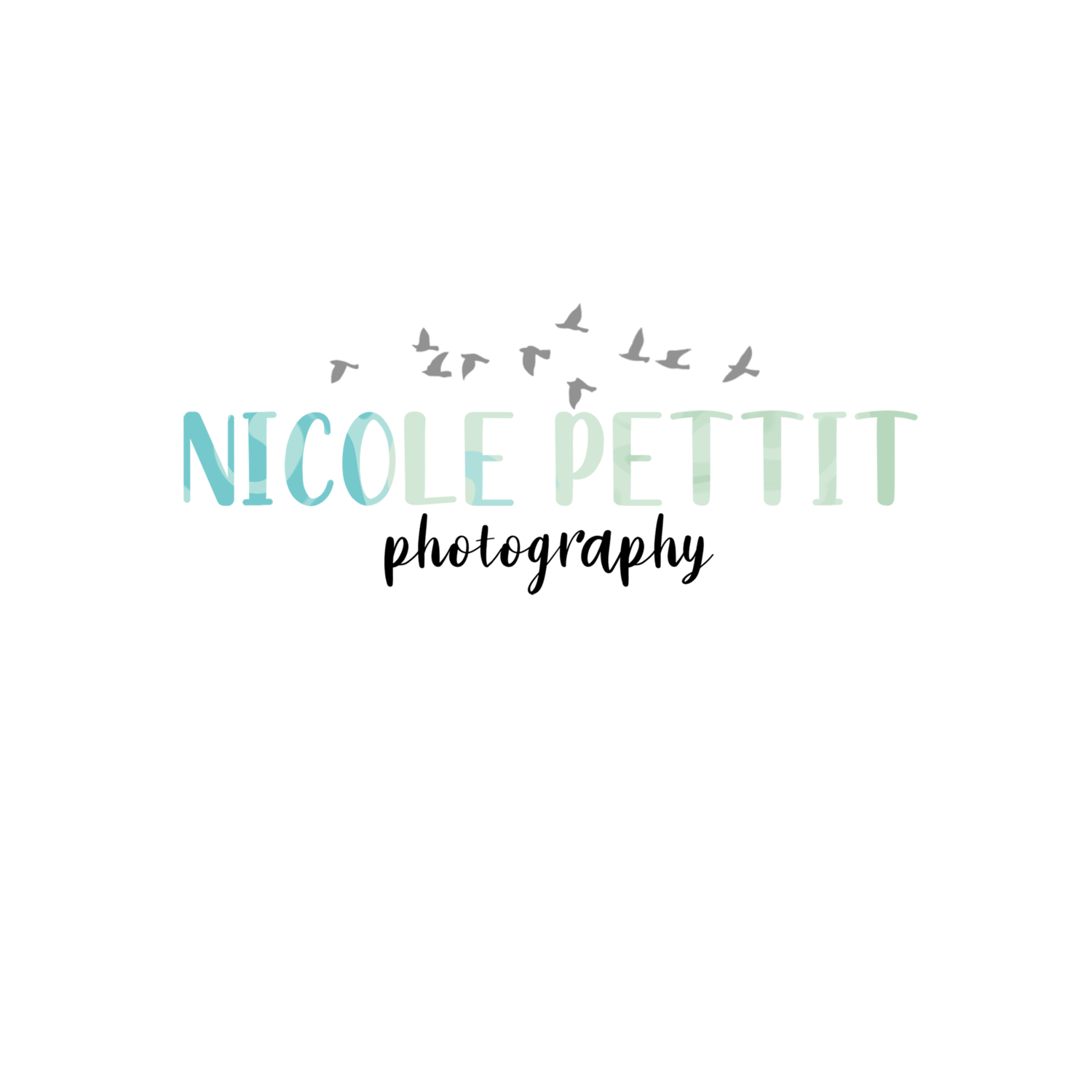 Nicole Pettit Photography