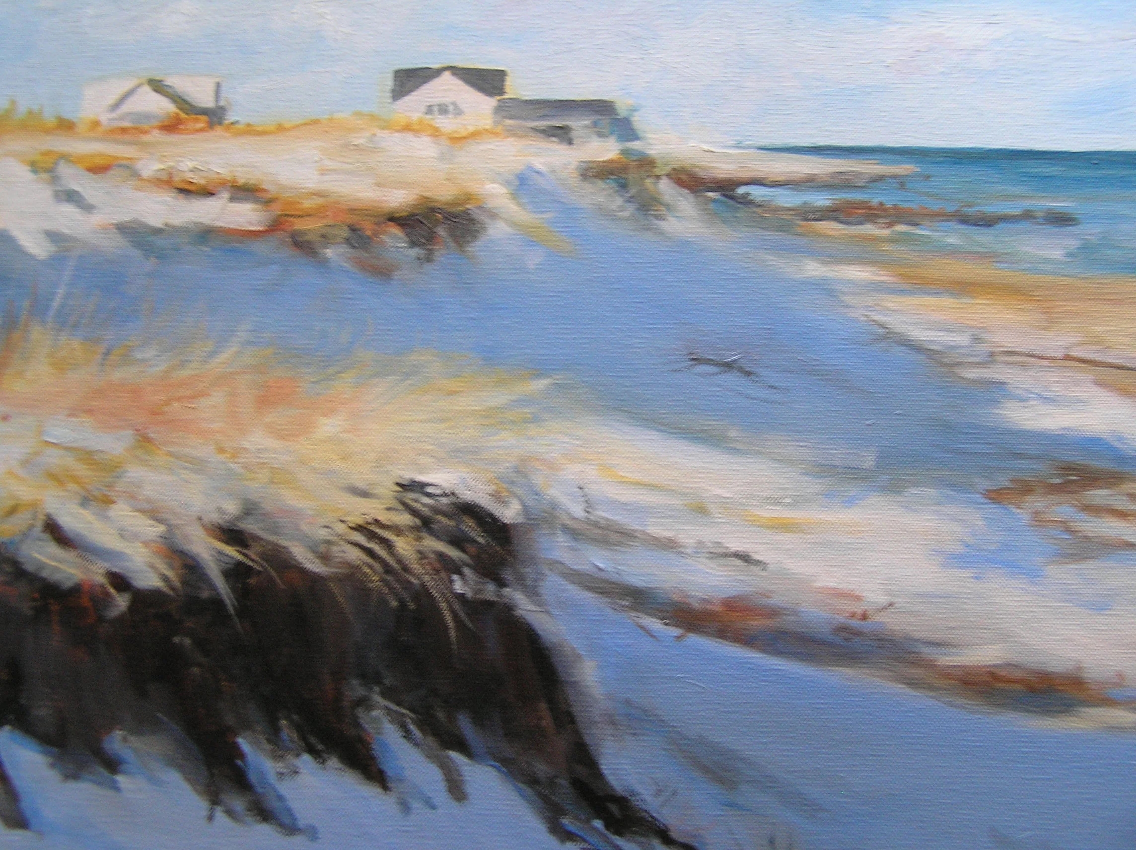 Winter At Plum Island.JPG