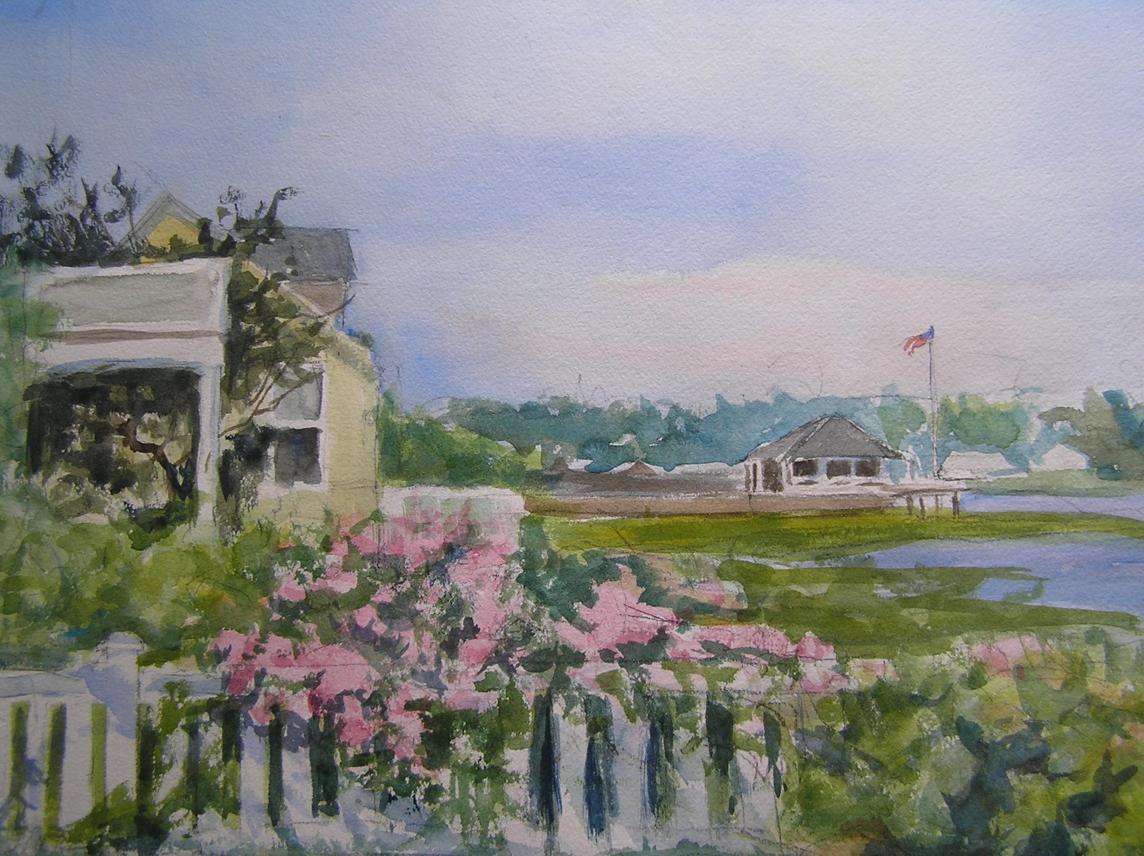 View From Hale Park.JPG
