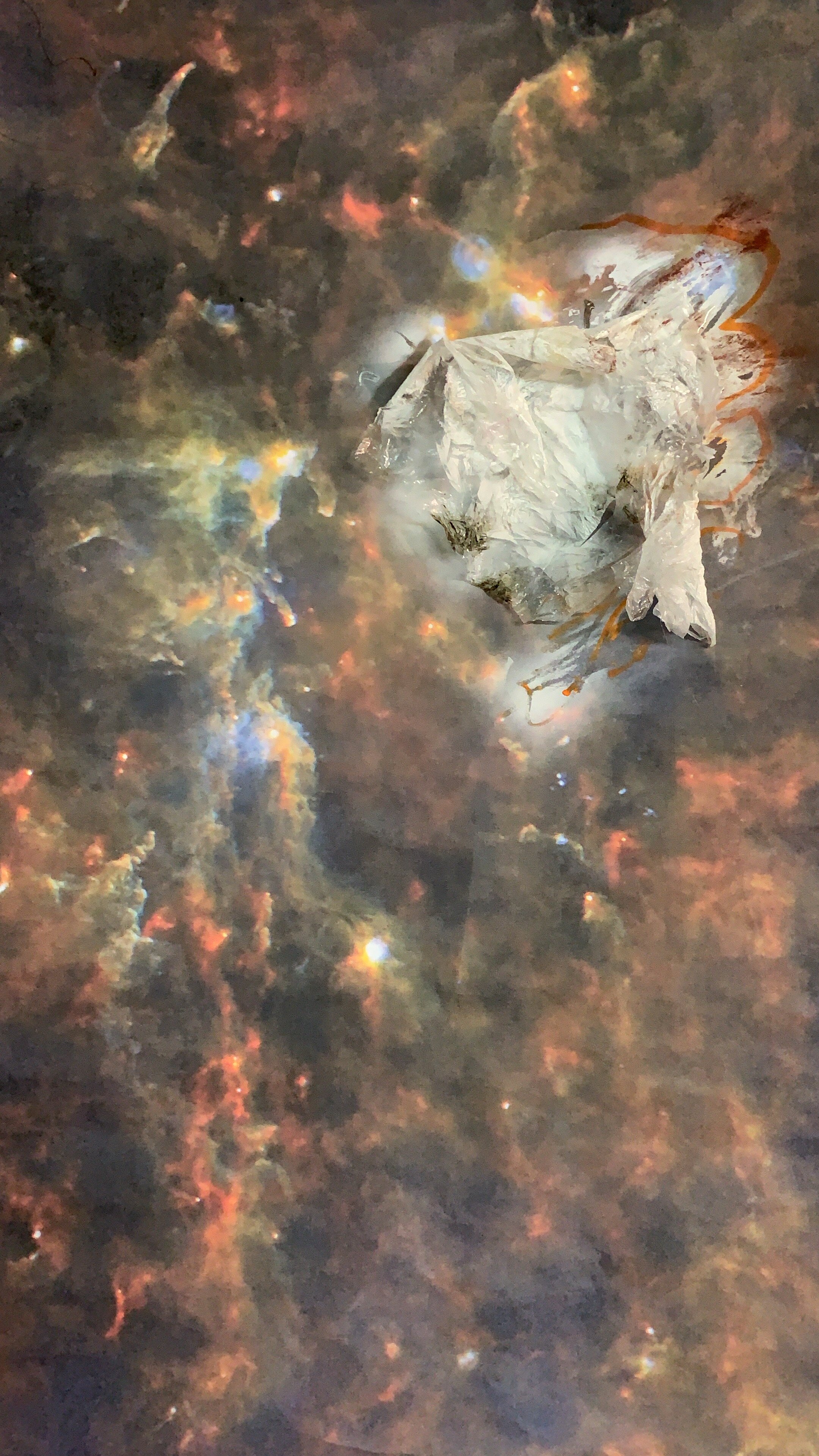 Untitled (Plastic Hubble I)