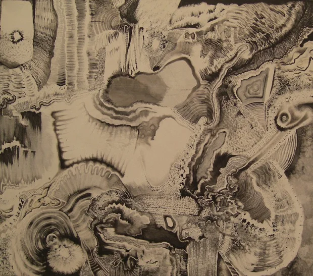 Untitled, 2011, acrylic and ink on canvas, 36”x42”x2”