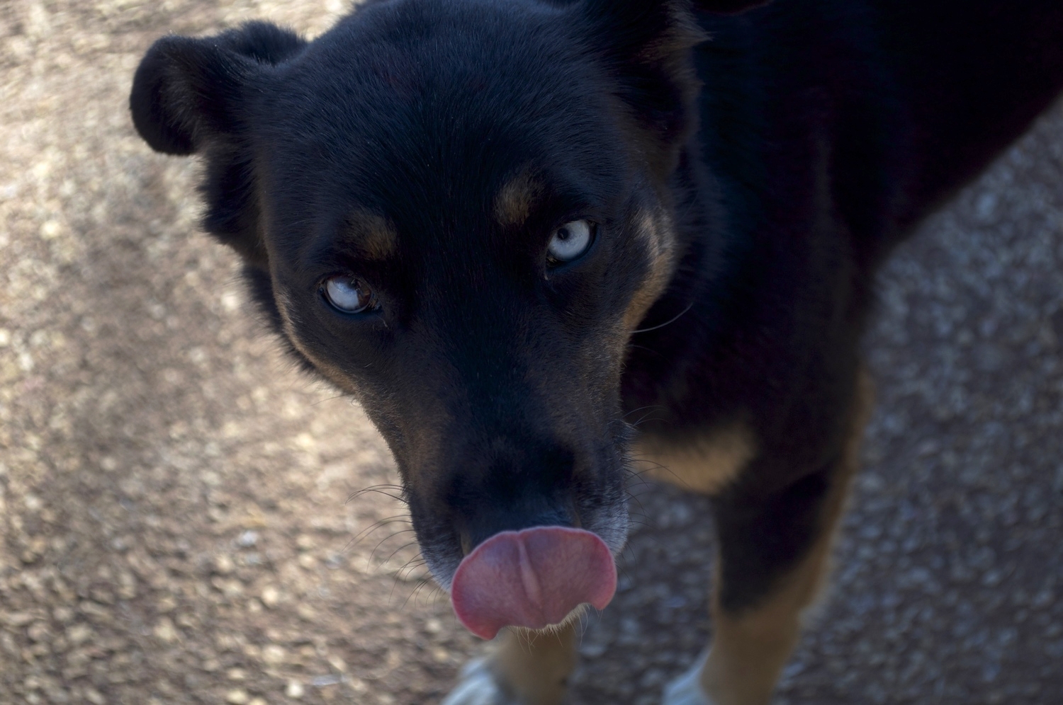 DSC_0656.jpg