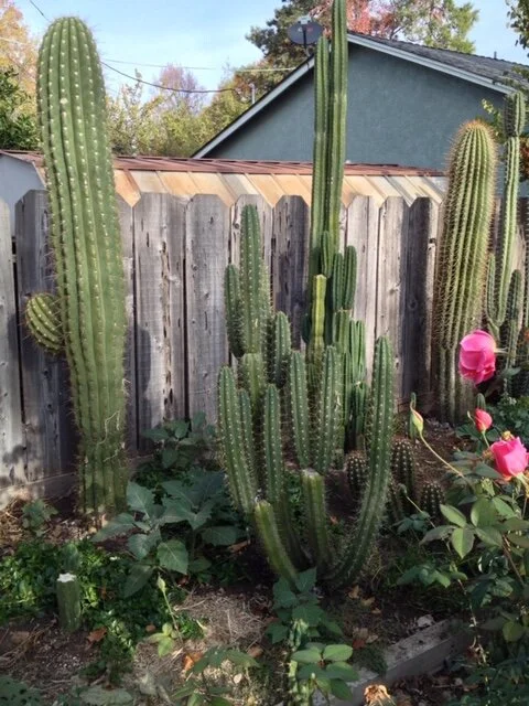 wide shot - 54 of 228.jpeg