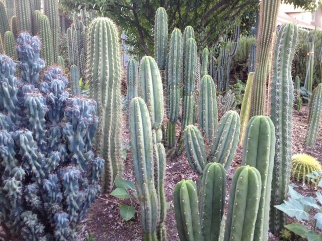 wide shot - 159 of 228.jpeg