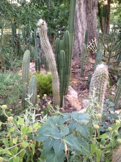 wide shot - 228 of 228.jpeg