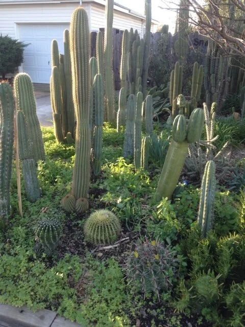 wide shot - 175 of 228.jpeg