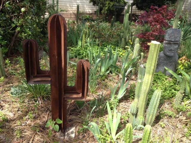 wide shot - 84 of 228.jpeg