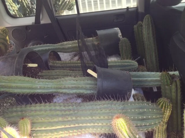 wide shot - 26 of 228.jpeg