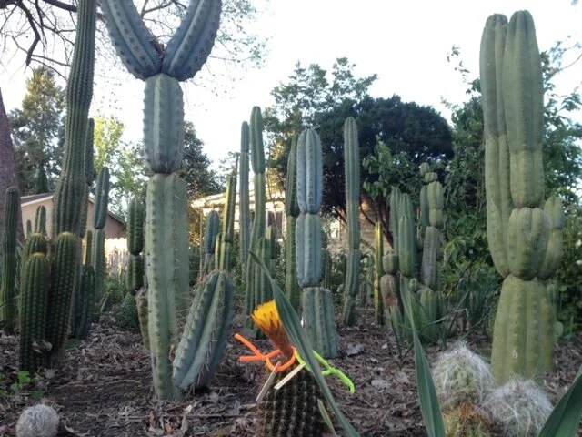 wide shot - 207 of 228.jpeg