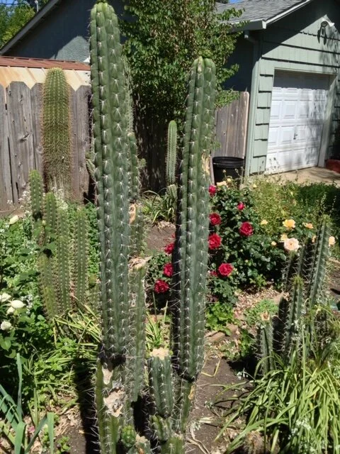 wide shot - 31 of 228.jpeg