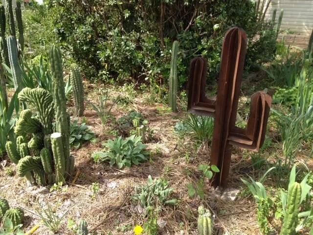 wide shot - 85 of 228.jpeg