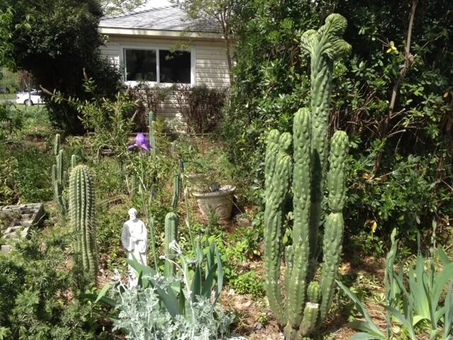 wide shot - 86 of 228.jpeg