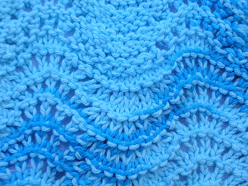 Feather and fan dishcloth