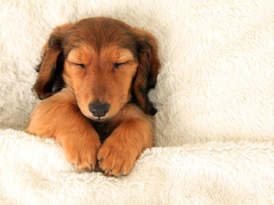 1. Sleep changes pain
