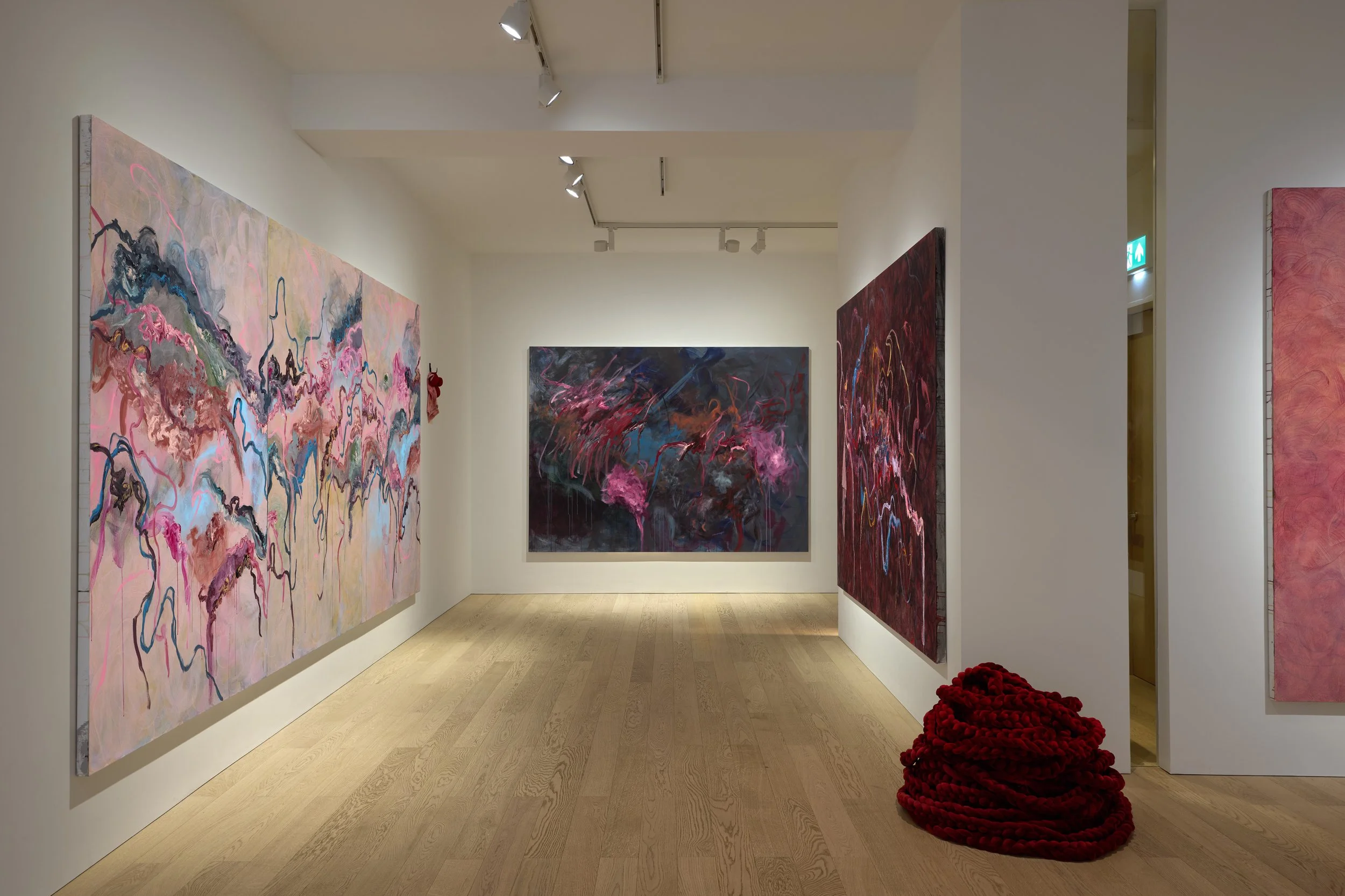 Albion Jeune - Adriane Nieves Installs - 007.jpg