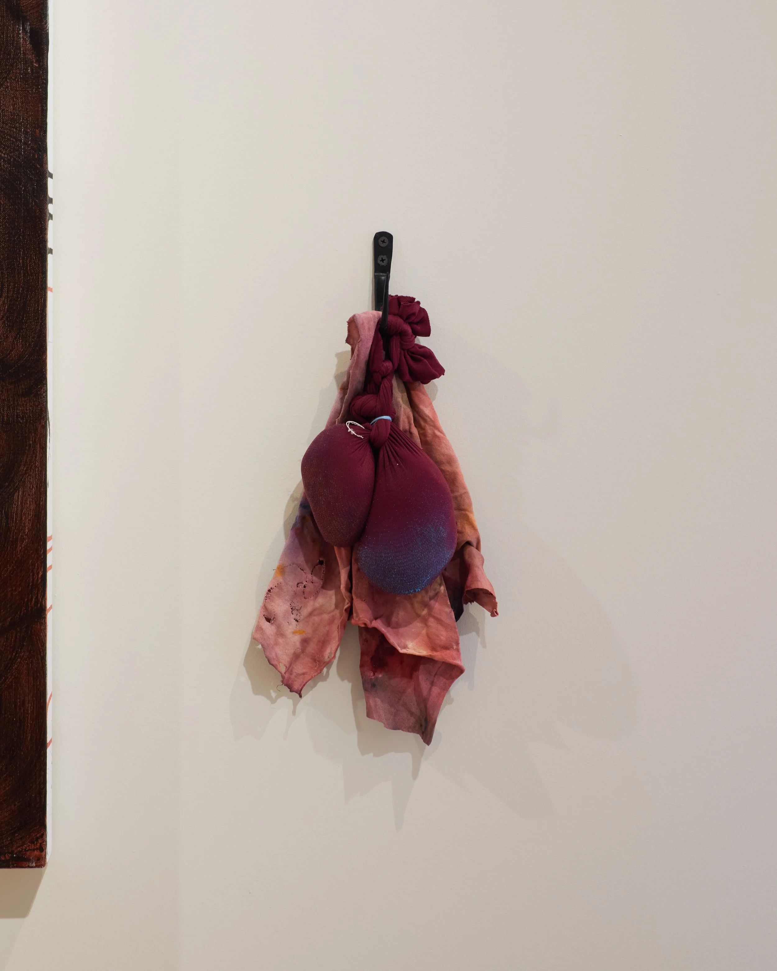 Albion Jeune - Adriane Nieves Installs - 013.jpg