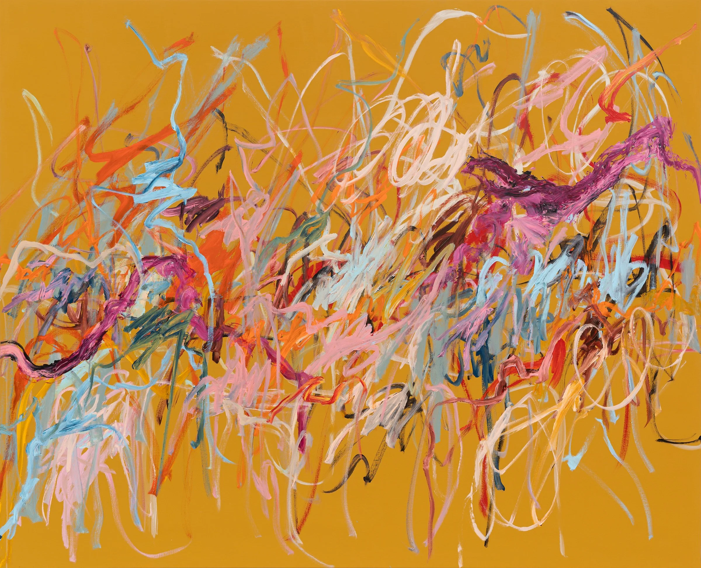 A'Driane Nieves NIEVES125 C-2.jpg