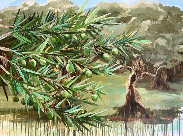 This is the 3rd painting I finished, oh geez, sometime during the shut down for La Bodega Gourmet in Bee Cave, Texas in the Austin area (Now Open for dine in and take out!)
“Olive Branches” 30x40” acrylic on canvas. An olive branch