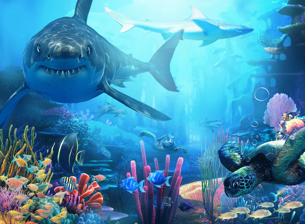 underwater2.jpg