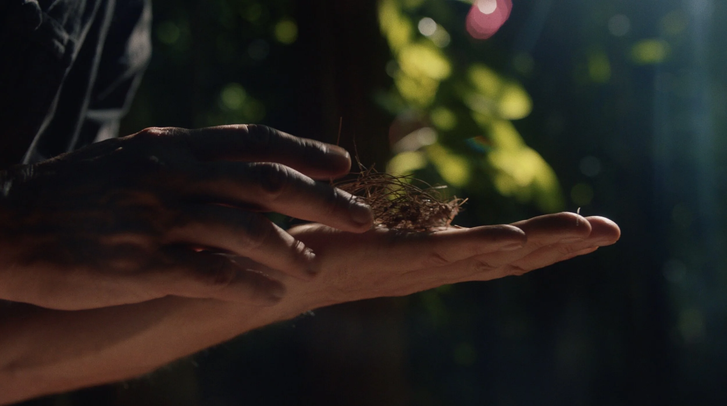 Screen Shot 2019-06-28 at 6.04.47 PM.JPG