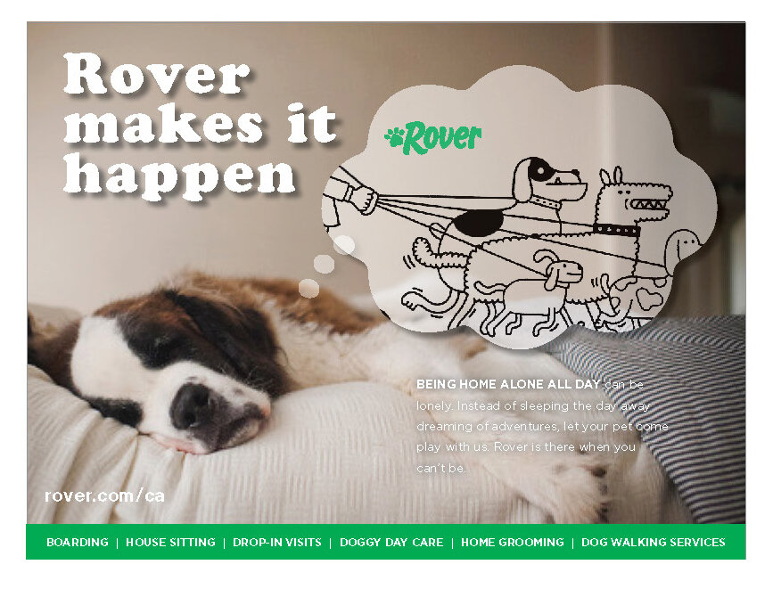 Rover-daydreaming dog 3.jpg
