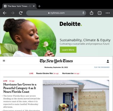 NYT header-dandelion girl.jpg