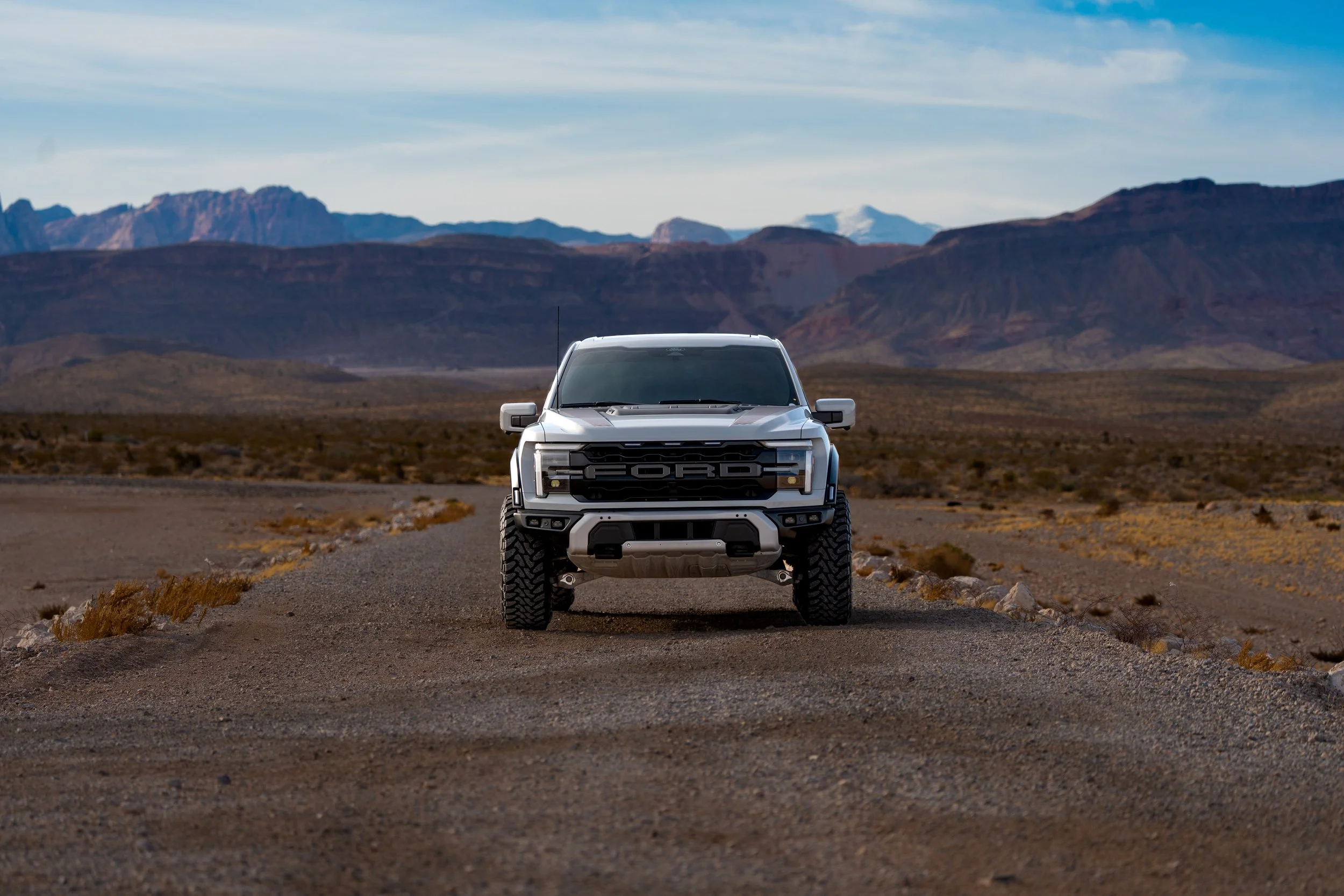 HT_F-150 Raptor_LV-6-3.jpg