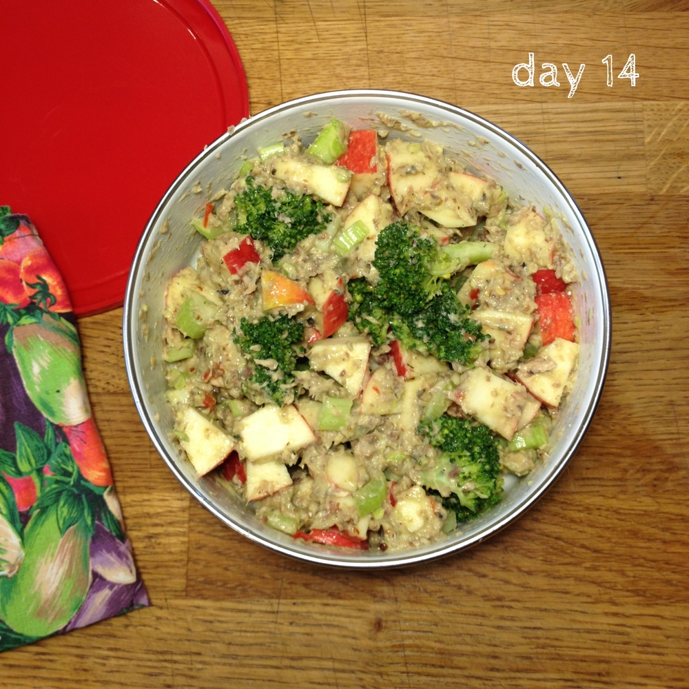 day14_curried_sardines_broccoli_apple_lunch_salad.jpg