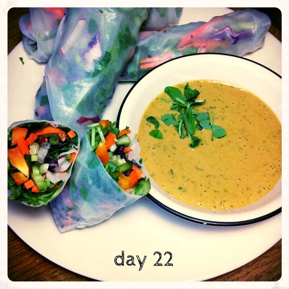 day22_Salad_Rolls_Shiratake_w_Peanut_Dressing.jpg