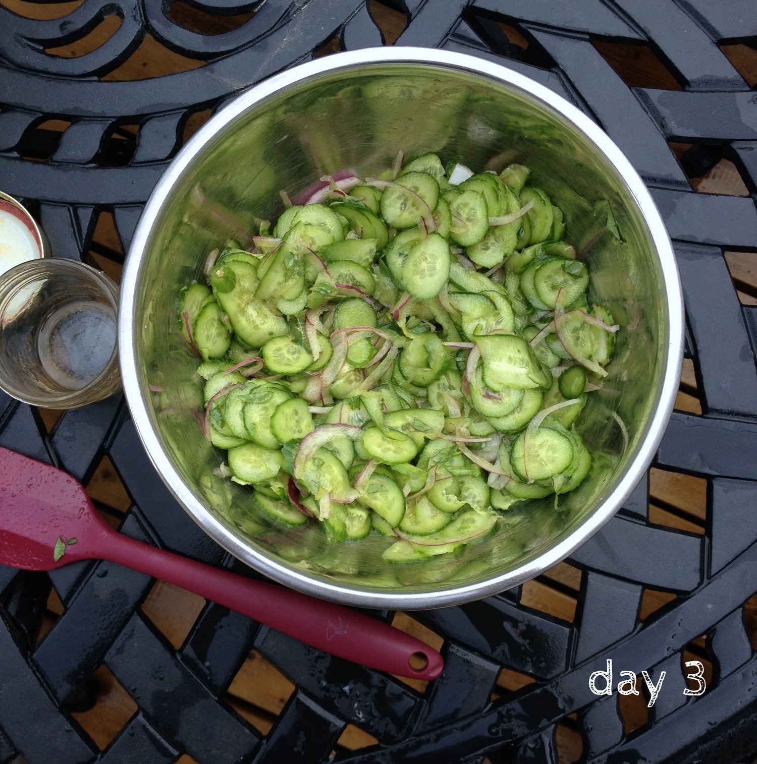 day3_cucumber_mint_w_thai_dressing.jpg