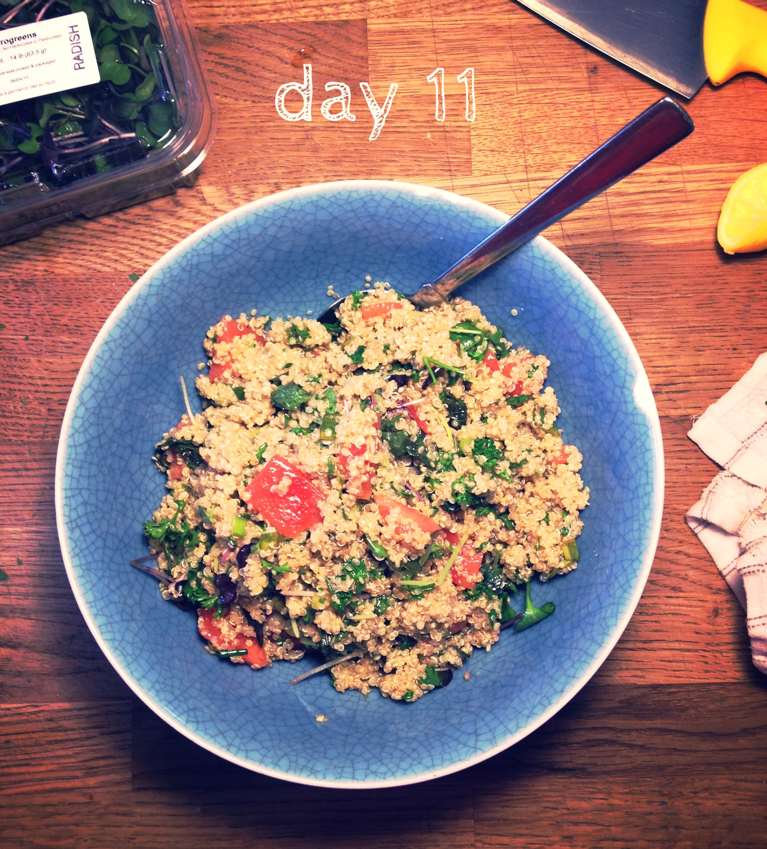 day11_watermelon_sprouted_quinoa_herb.jpg