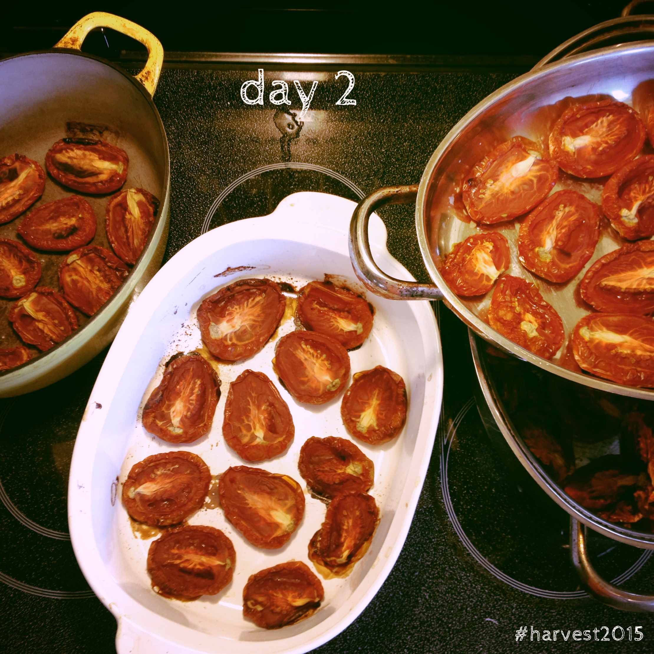 Slow roasted tomatoes, perfect way to bottle up summer for those midwinter climes. #harvest2015