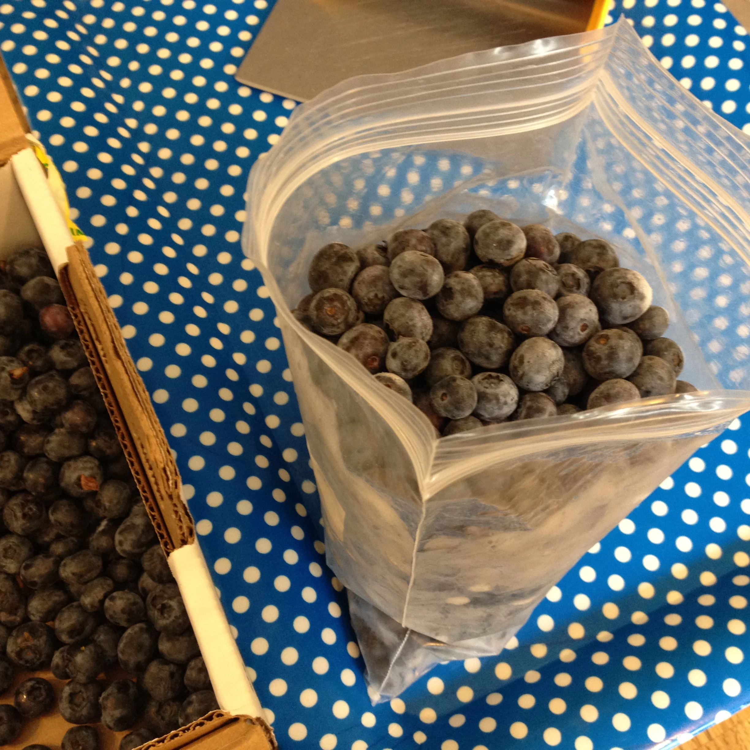 A MONTH OF PUTTING UP THE HARVEST - Day 4