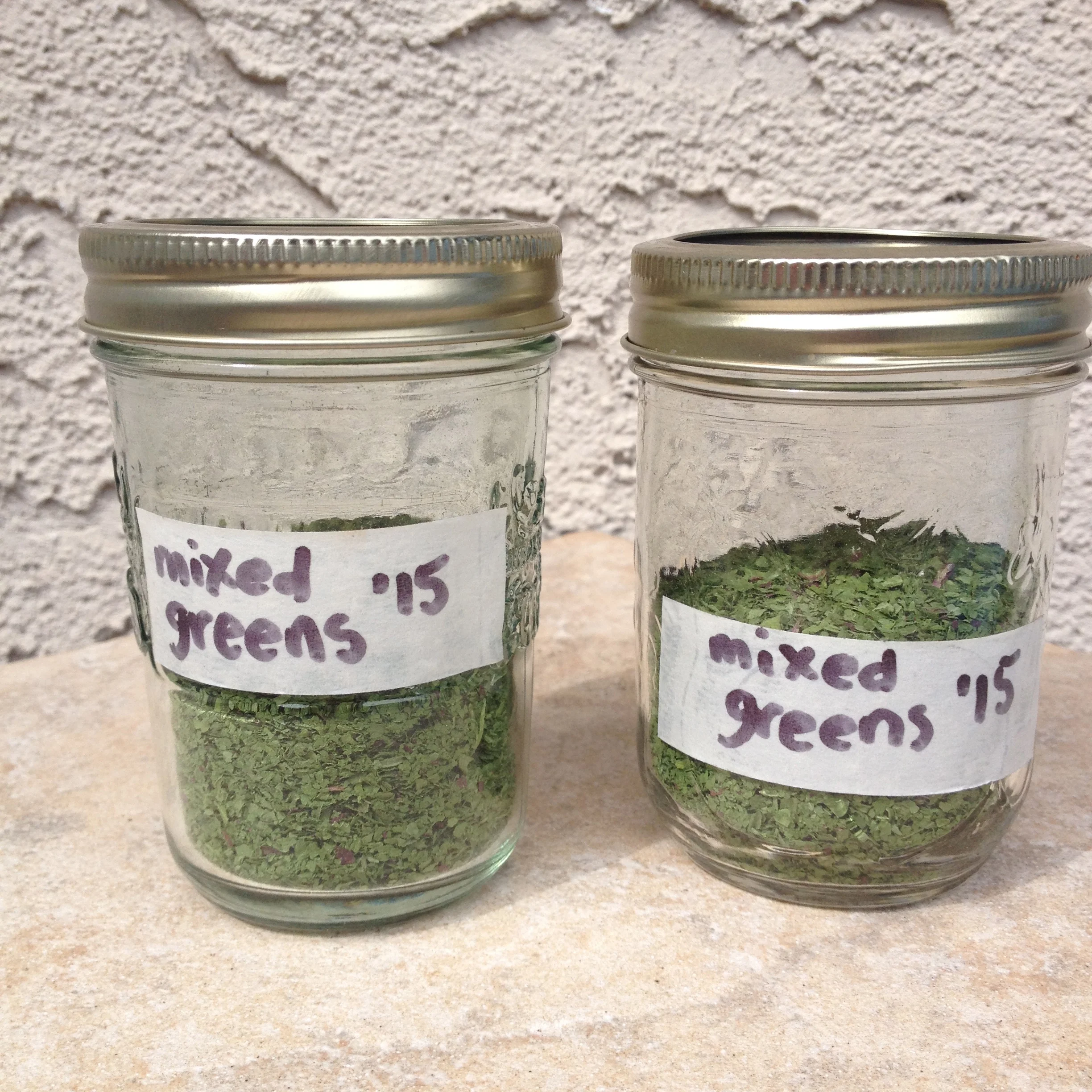 A MONTH OF PUTTING UP THE HARVEST - Day 5