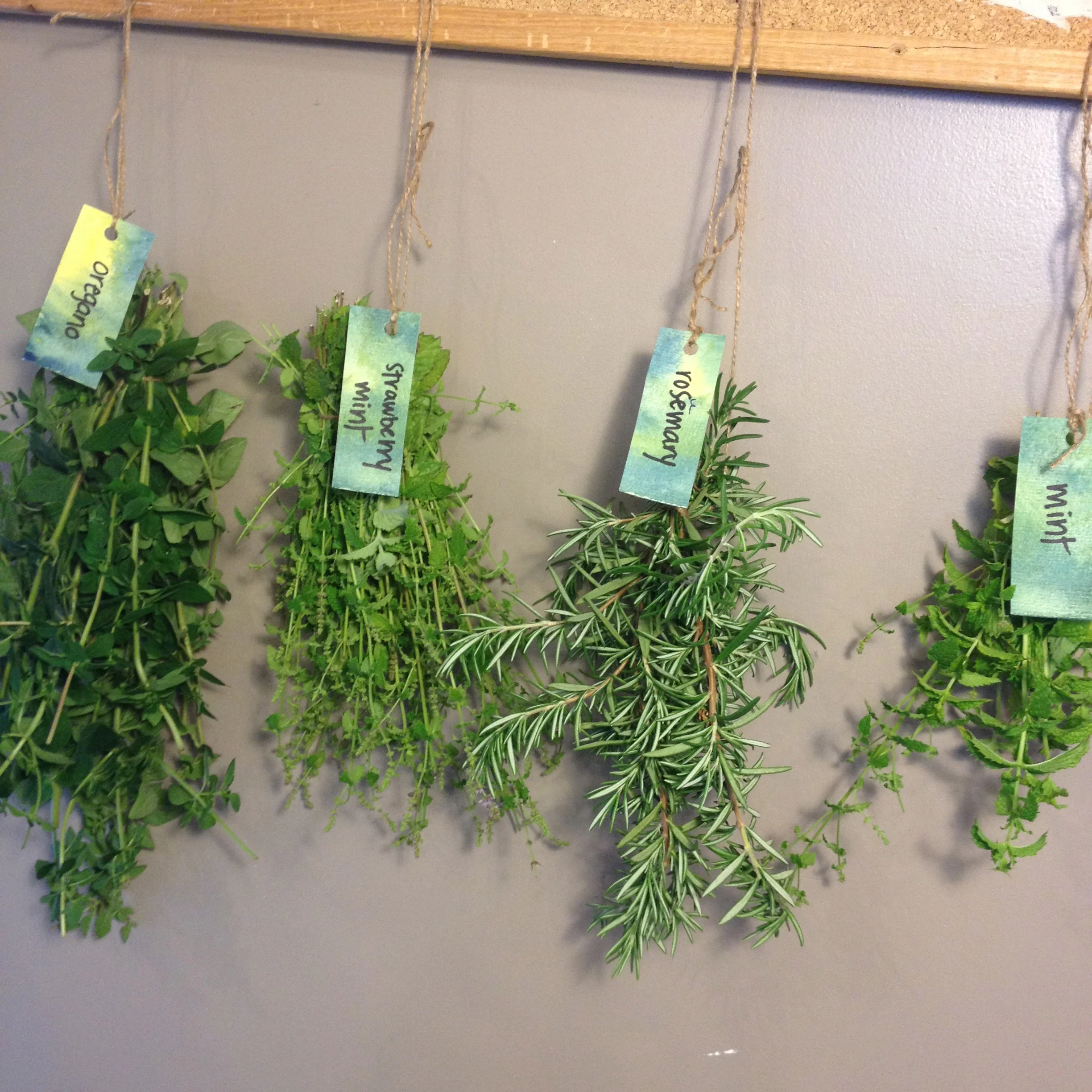 A MONTH OF PUTTING UP THE HARVEST - Day 6