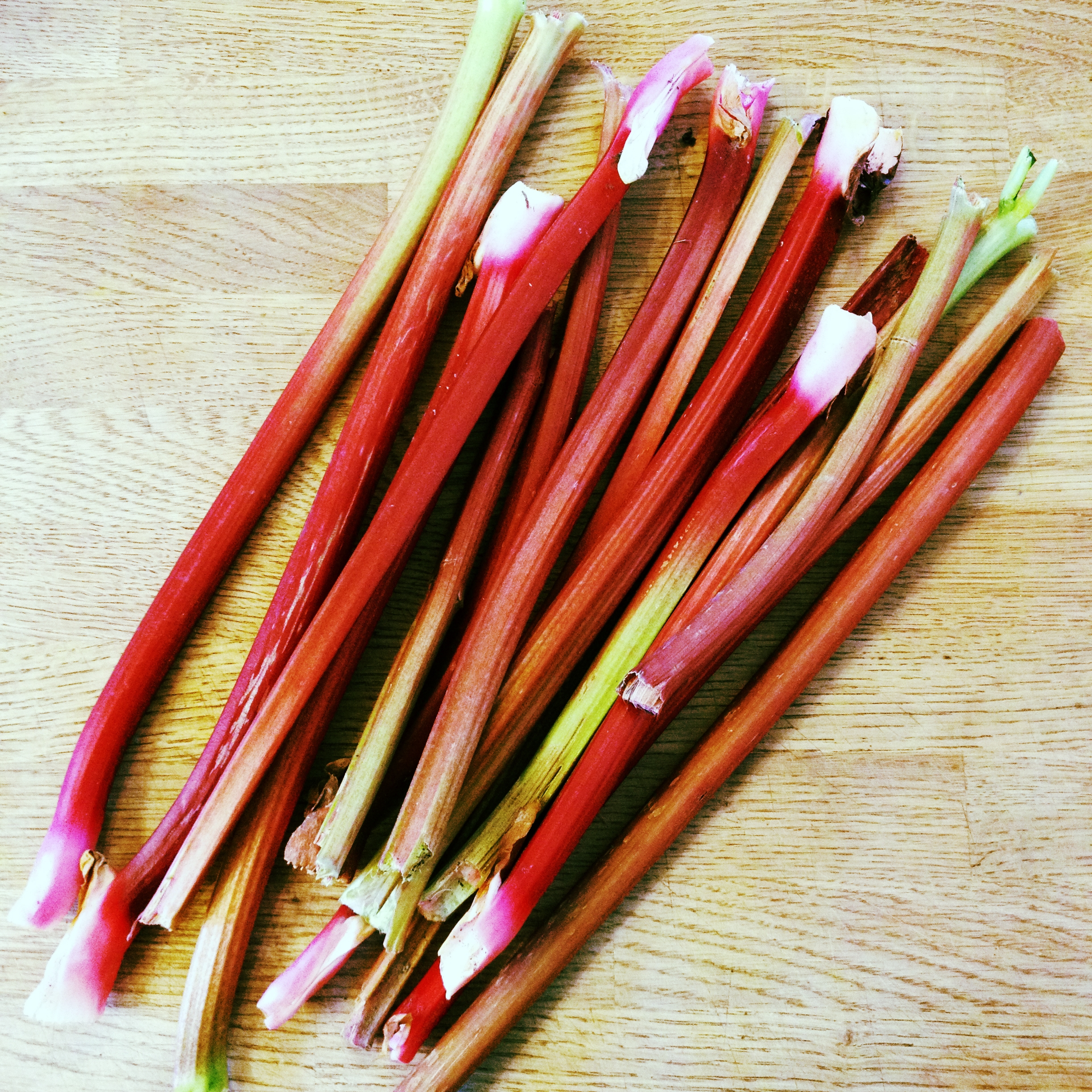 AMOPUTH_day14_rhubarb.jpg