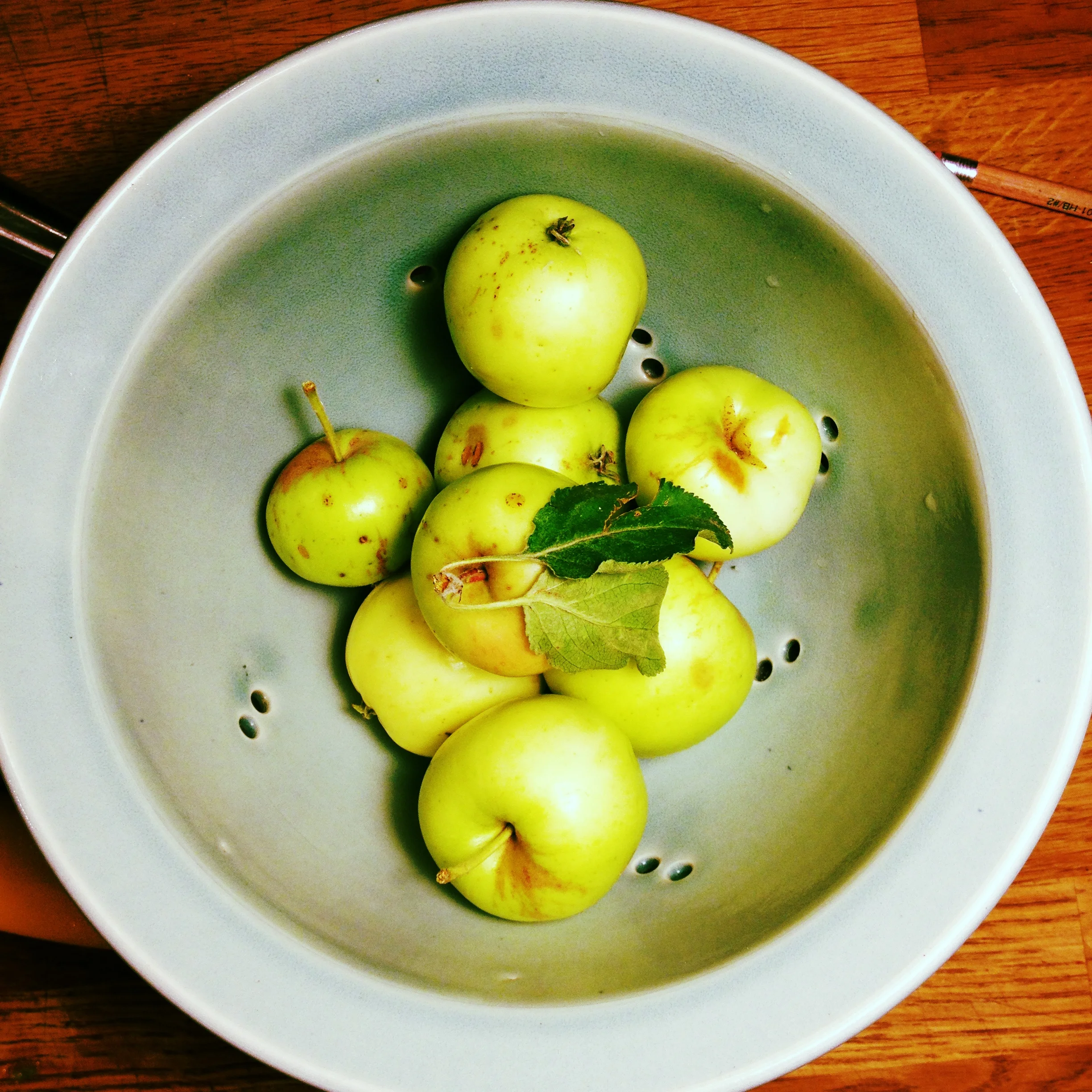 AMOPUTH_day14_apples.jpg