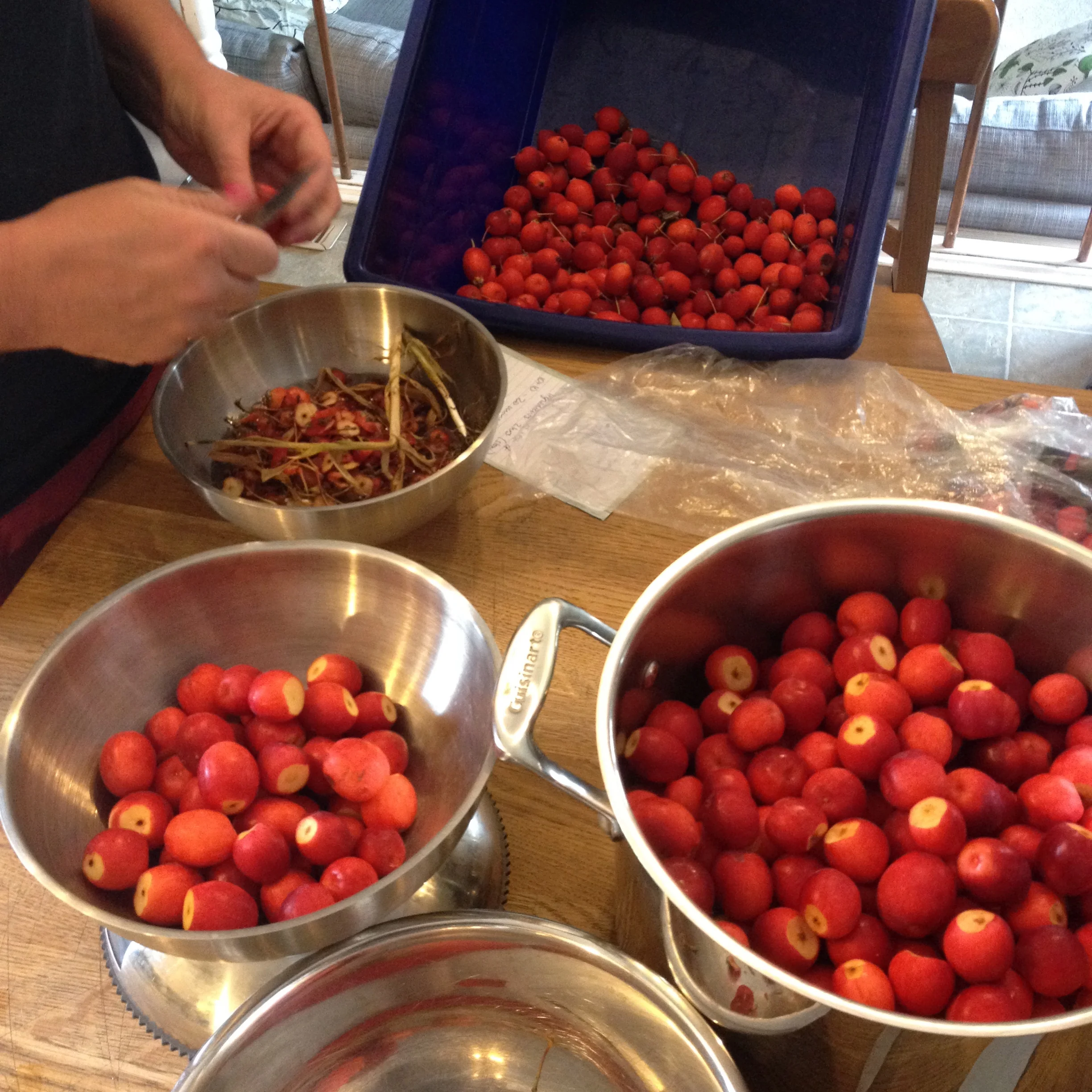 A MONTH OF PUTTING UP THE HARVEST - A Compendium