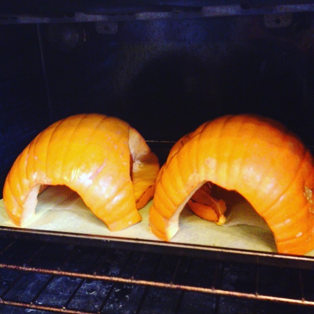 pumpkin.jpg